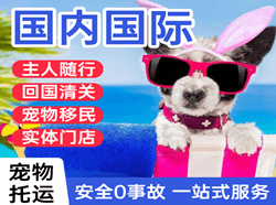 安阳红旗渠航空快递国际宠物托运 【国